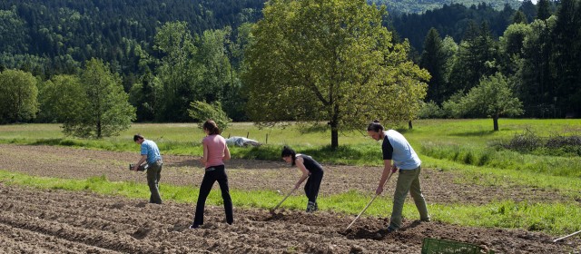 Pilot-Project – LAND SHARING FOR FOOD AND SOCIAL GOOD